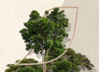 A tree overlaid on the NESCAFÉ logo