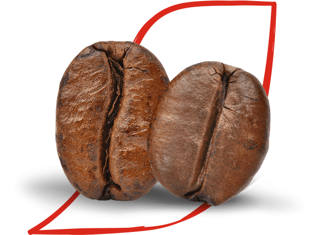 https://www.nescafe.com/au/sites/default/files/2023-04/4901P_CoffeeFacts_Beans_614x458_2beans_31.png