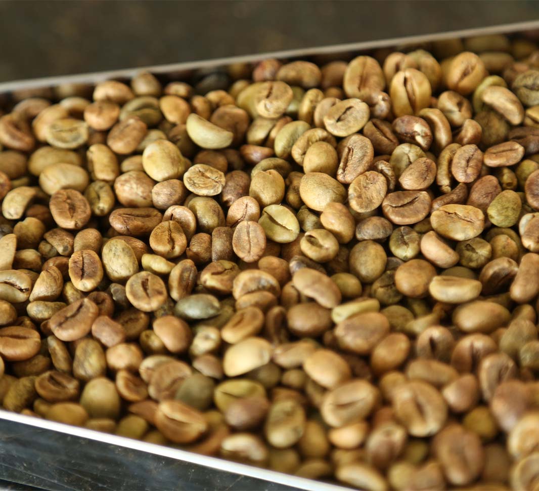 proceso de tostado del café