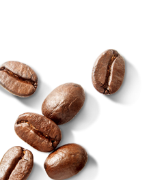 coffee beans