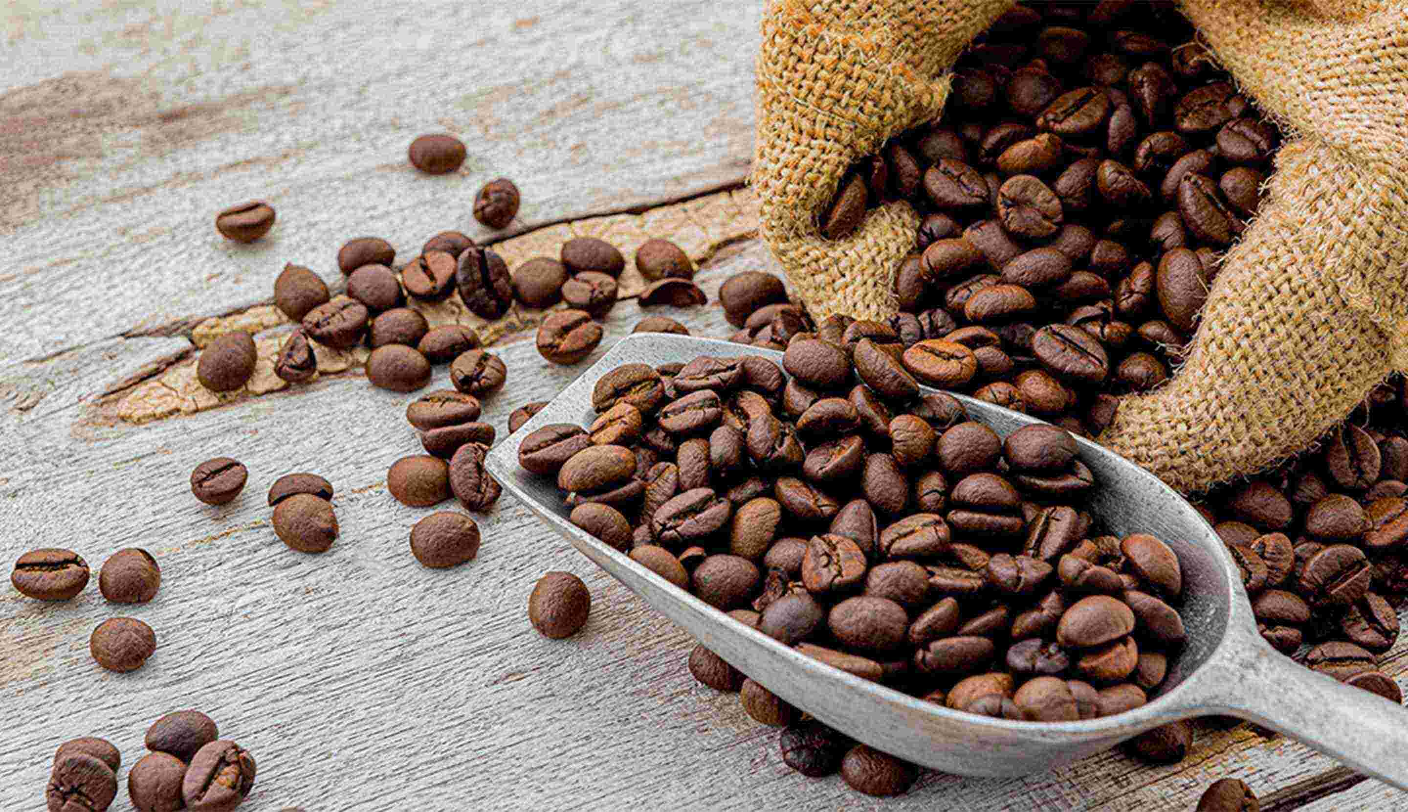 Getting to Know Types of Black Coffee Beans