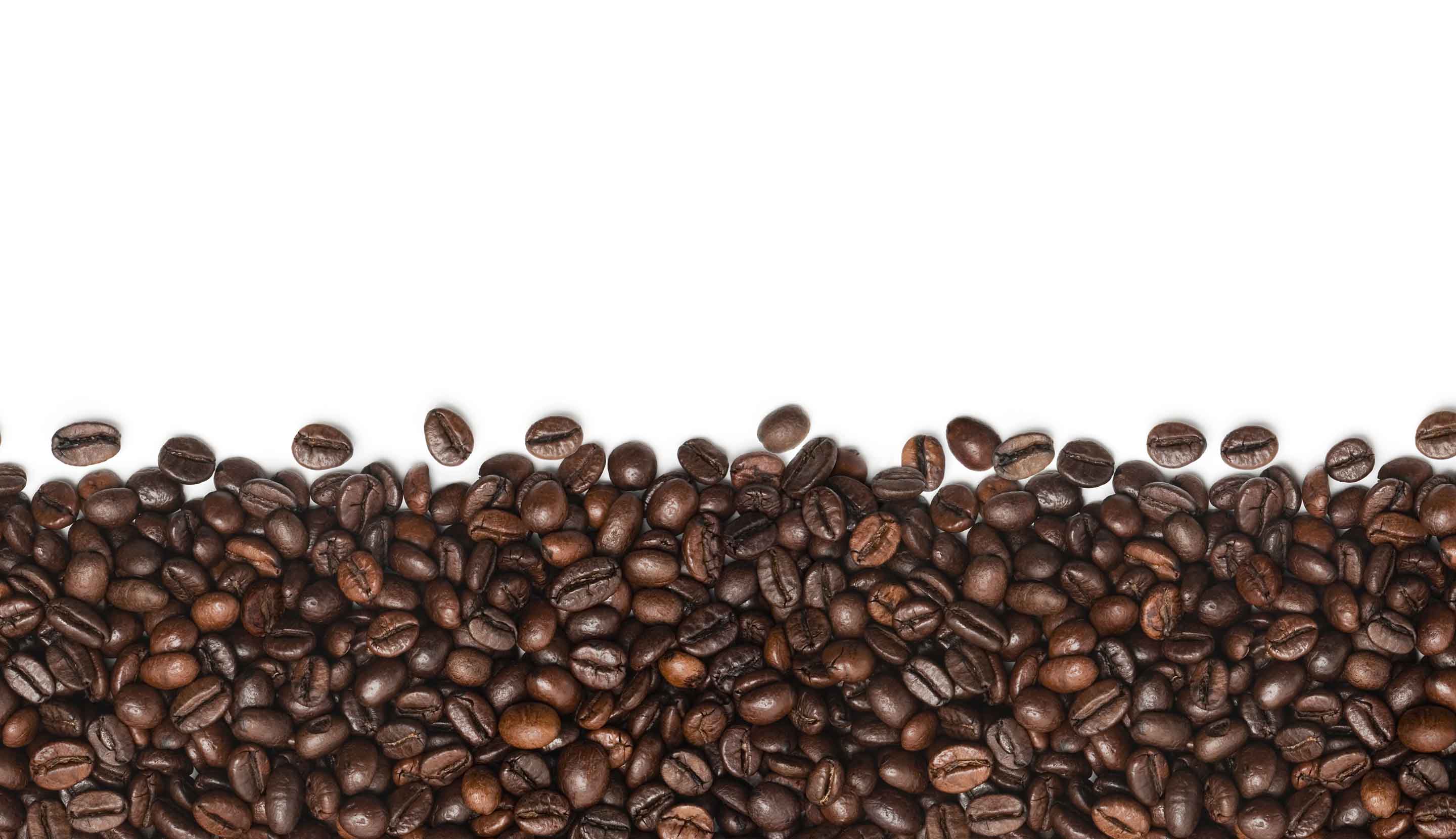 Coffee bean art header