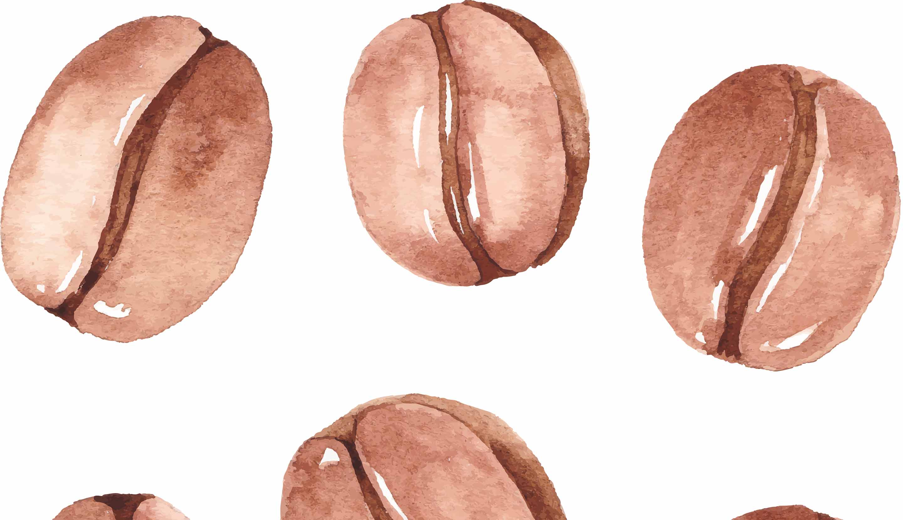 Art painting of coffee beans