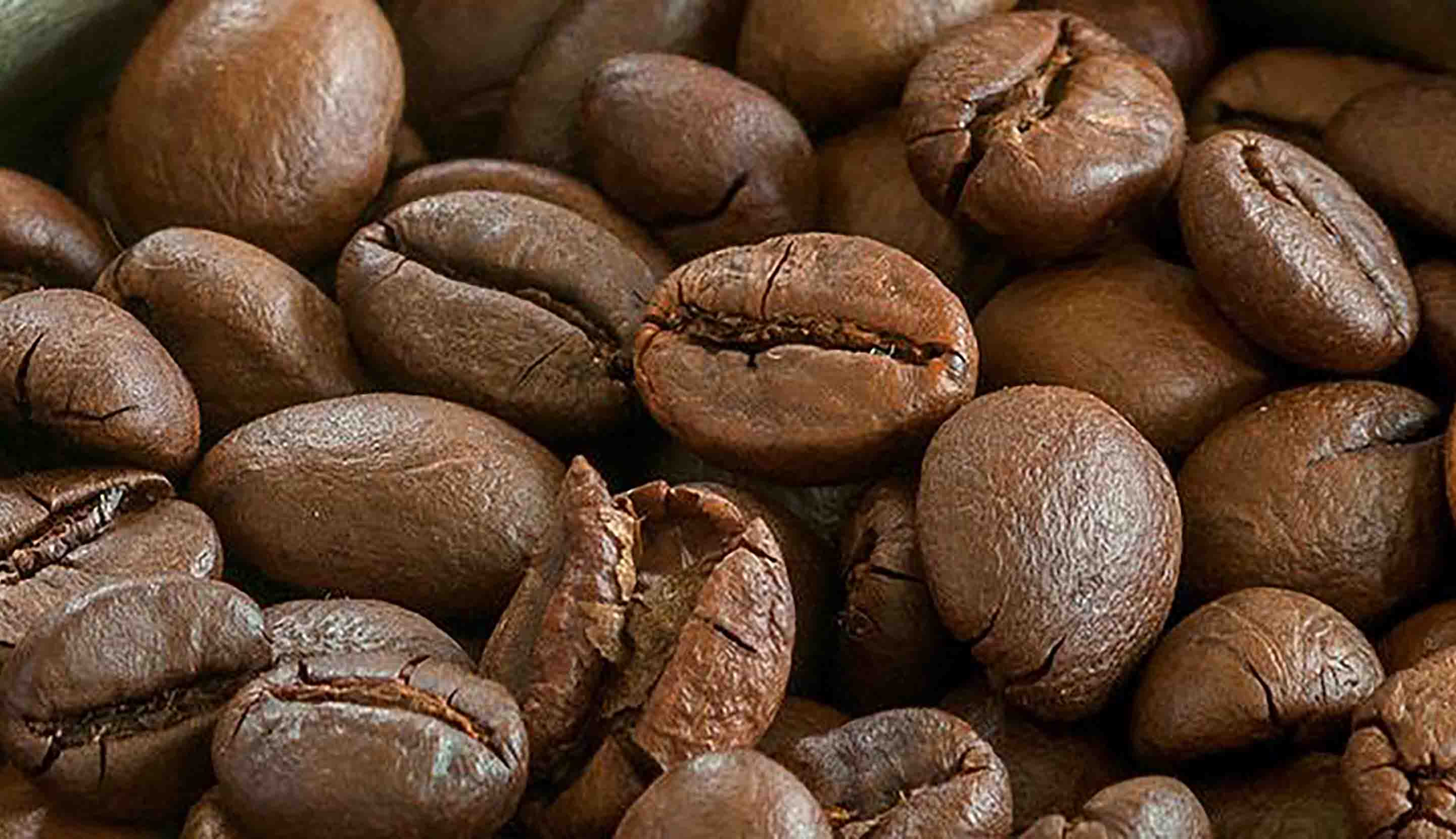 Best Coffee Beans