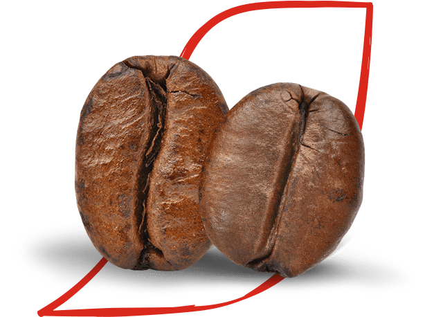 NESCAFÉ CAPPUCCINO CHOCO preparato solubile per cappuccino astuccio 8  bustine 144g - Compra online