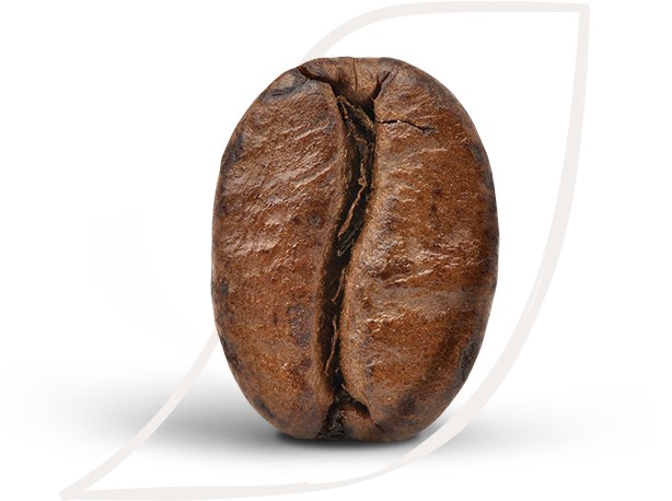 Coffee Knowlegde: Coffee and Nescafé facts