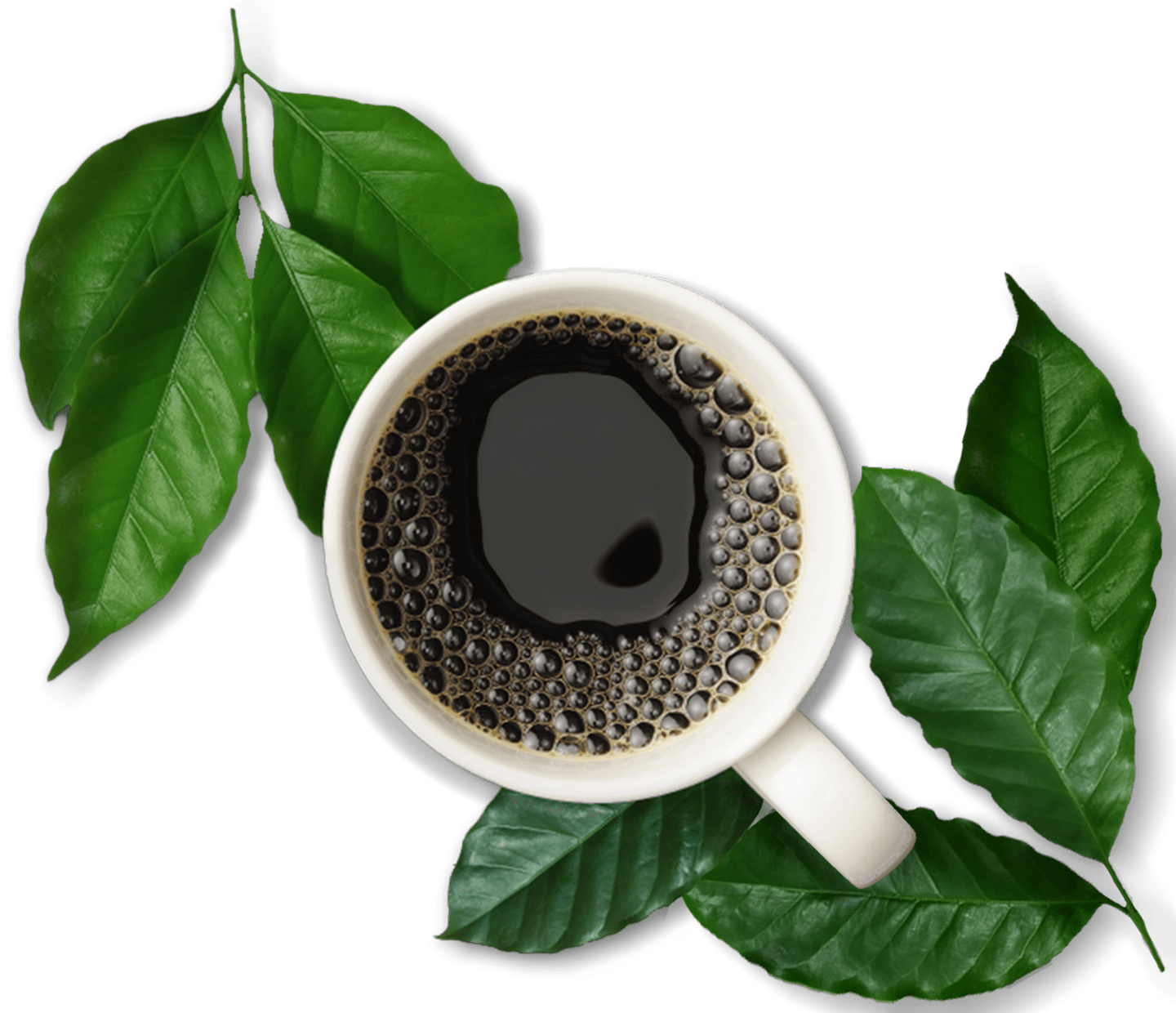 Beneficios del café