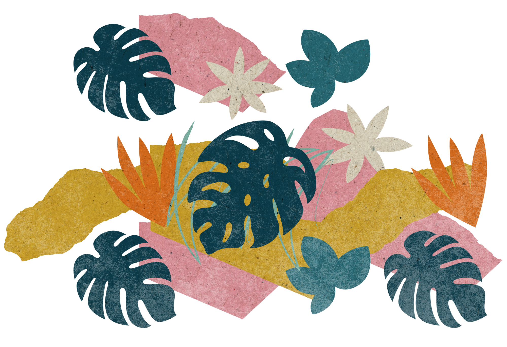 plant illustration