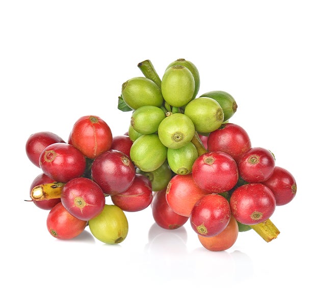 Coffee culture in Jamaica