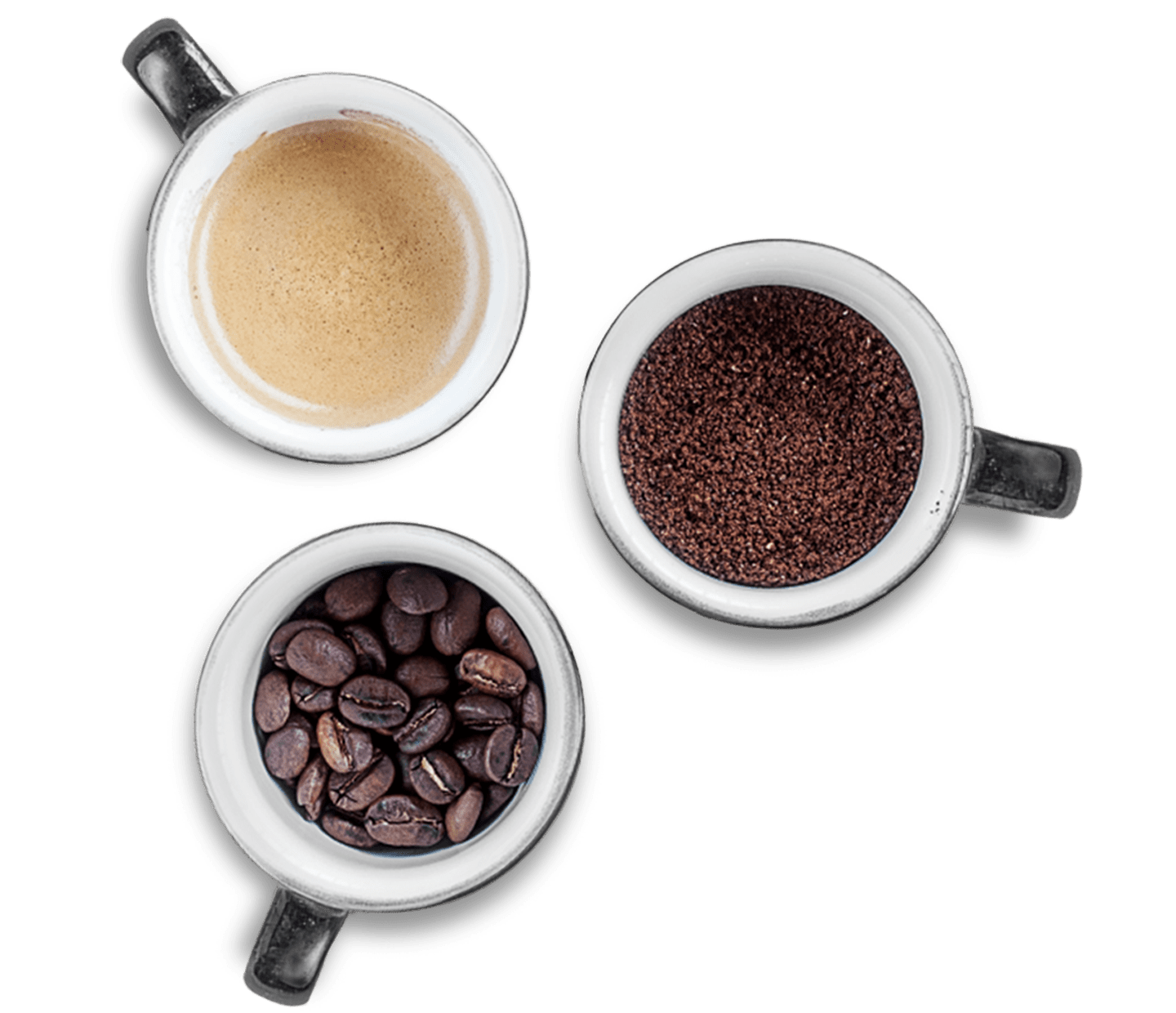 Explore the world of coffee tasting | Nescafé Singapore