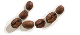 NESCAFÉ coffee beans logo