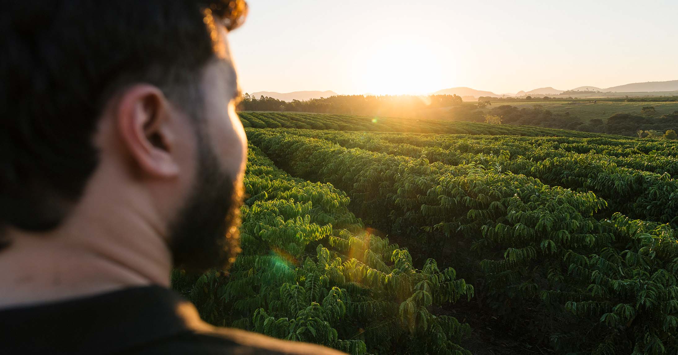 farmer in front of coffee land in brazil