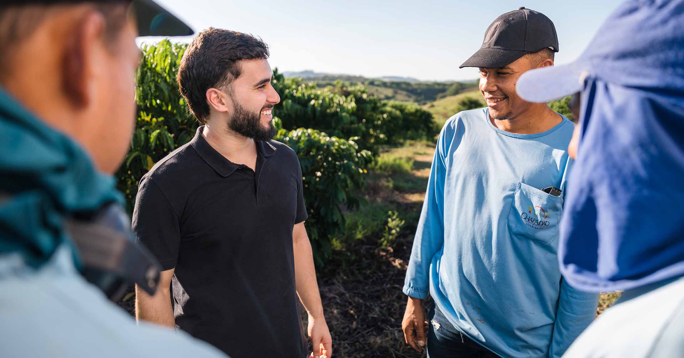 brazilian coffee farmers working