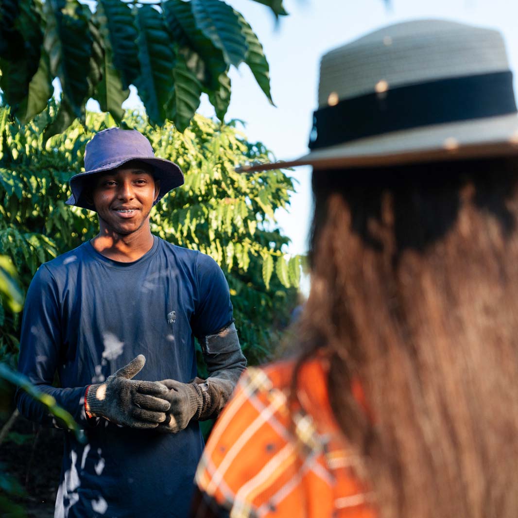 farmers in a coffee field