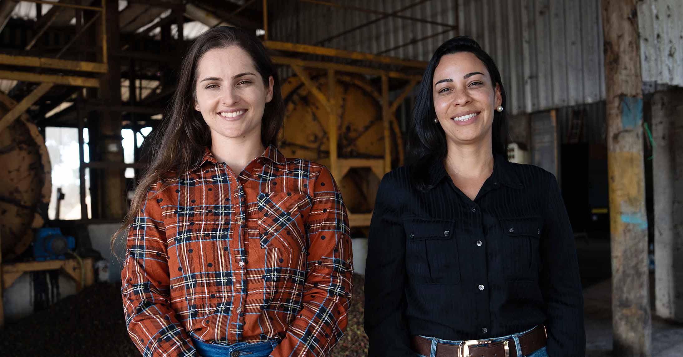 agronomist and coffee trees