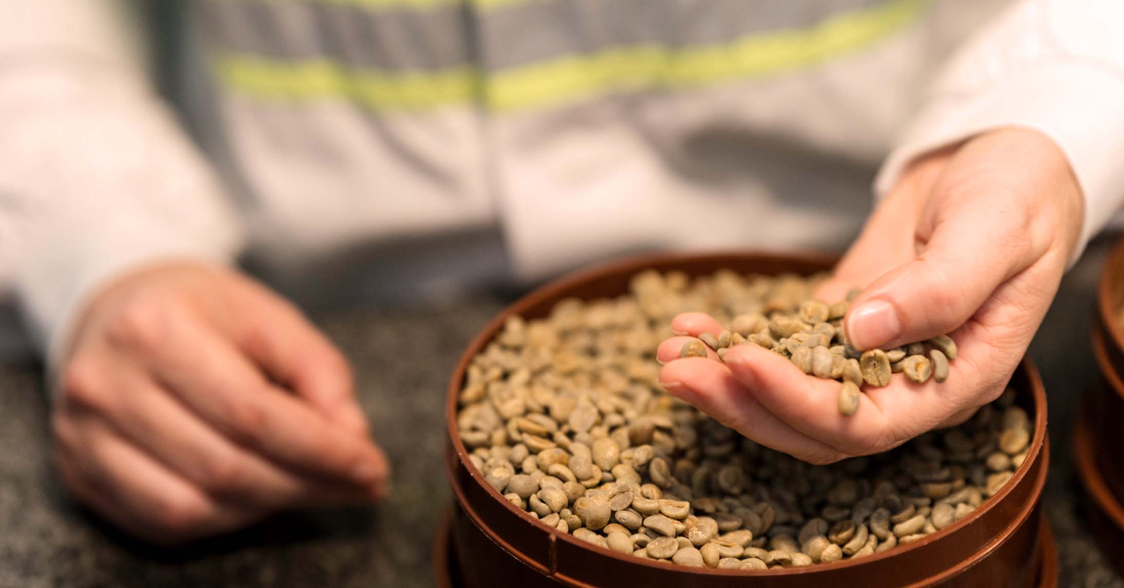 checking coffee beans