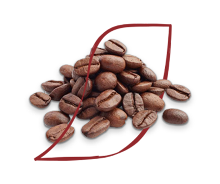 coffee beans