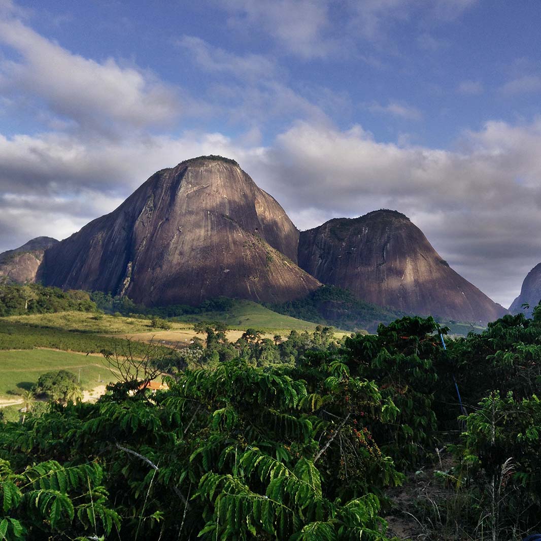 เนสกาแฟทุกแก้ว คือสัญลักษณ์แห่งการแสดงความเคารพต่อโลกใบนี้
