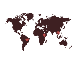 Continents in a leaf outline on a green surface.