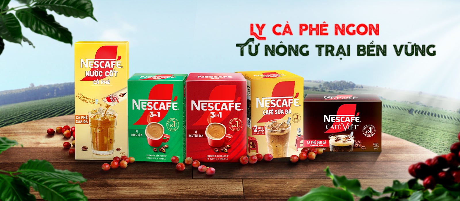 Ly cà phê ngon từ nông trại bền vững